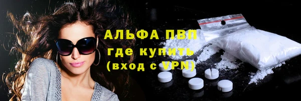 прущие грибы Артём