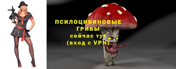 дурь Медвежьегорск