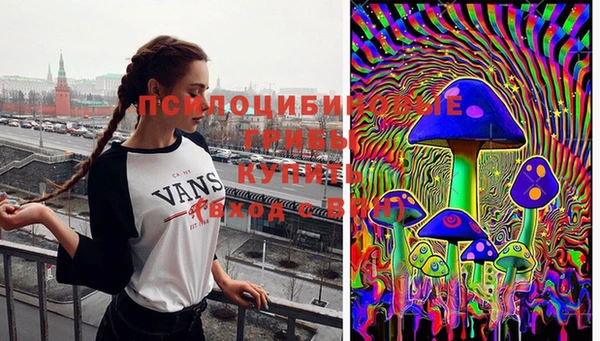 дурь Бердск