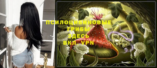 дурь Бердск
