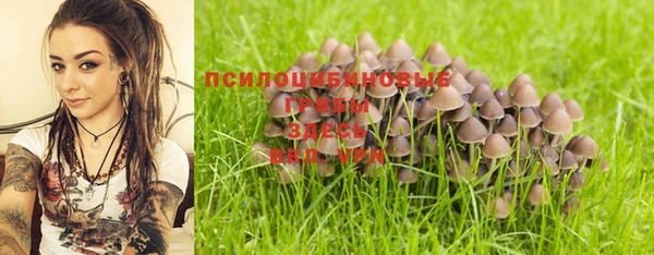 прущие грибы Артём