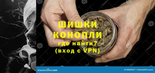 дурь Бердск