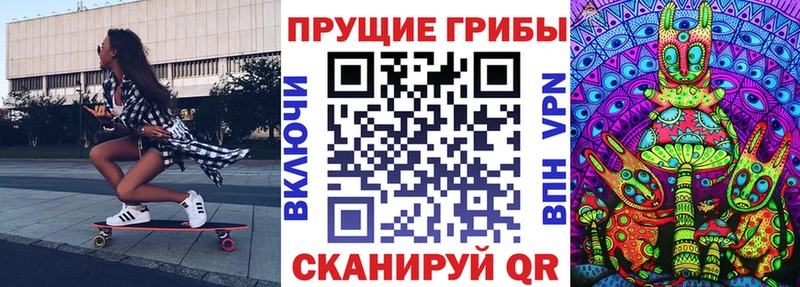 Псилоцибиновые грибы Magic Shrooms  hydra вход  Новокузнецк 