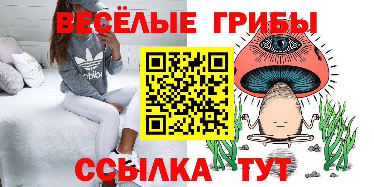 Псилоцибиновые грибы Psilocybine cubensis Новокузнецк