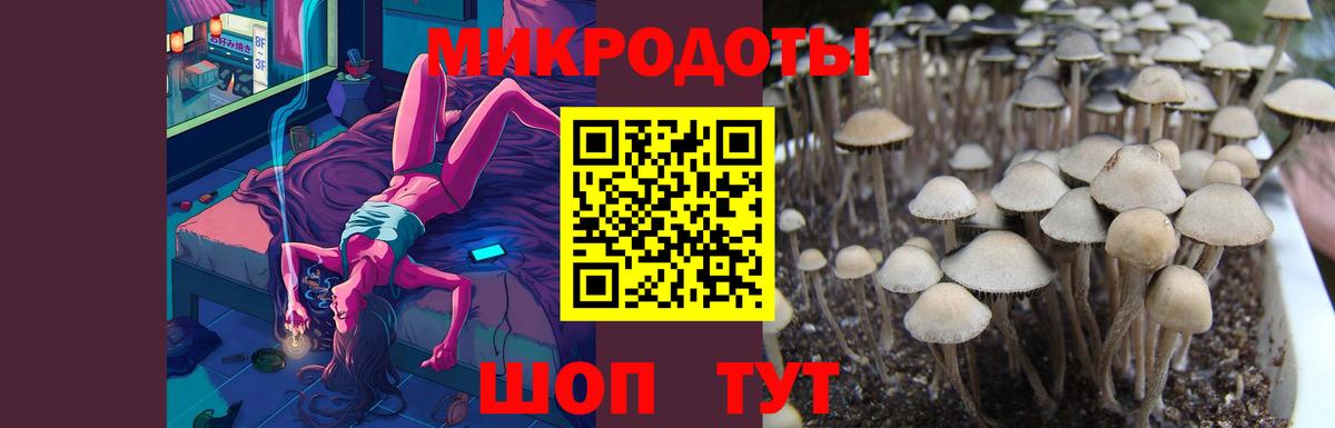 Новокузнецк  Галлюциногенные грибы мухоморы  Вход с VPN 